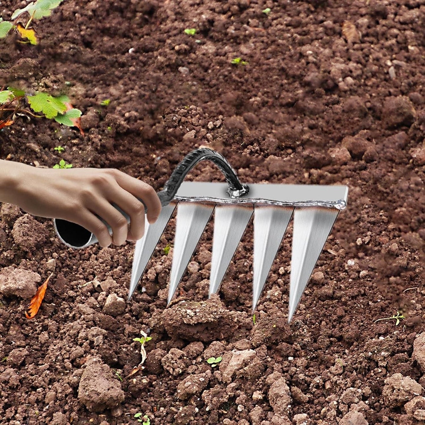 Multi-Tooth Hand Weeding Tool