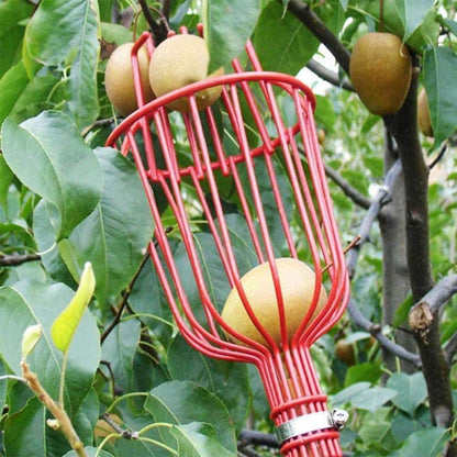 Fruit Picker with Basket